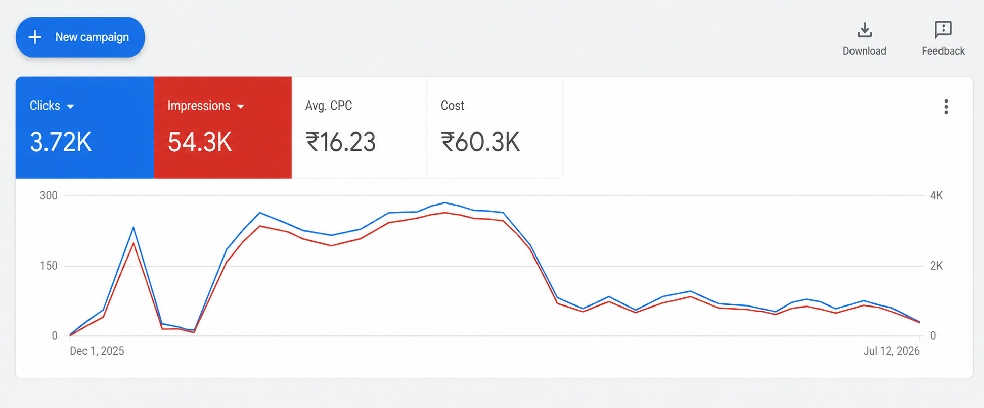 Dermatology & Skin Clinic Campaign - Google Ads performance dashboard screenshot